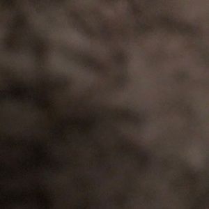 Meet your Posher, Colton